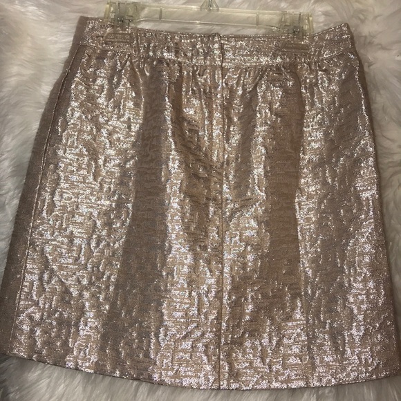 Ann Taylor LOFT petite skirt - Picture 3 of 3